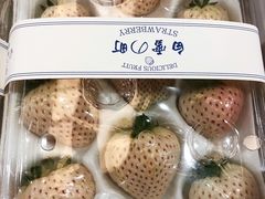 -西郊国际农产品交易中心