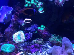 -成都浩海立方海洋公园