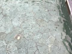 -崇阳三特浪口温泉