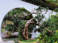 -上海醉白池公园