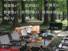 -上海共青森林公园