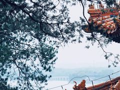 -颐和园-画中游