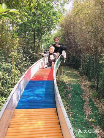 ️公园免费开放
️可野餐 搭帐篷
🛺四人三轮车80