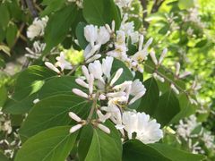 -闫府私房菜·老字号(恒隆店)