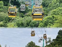 -广州长隆野生动物世界