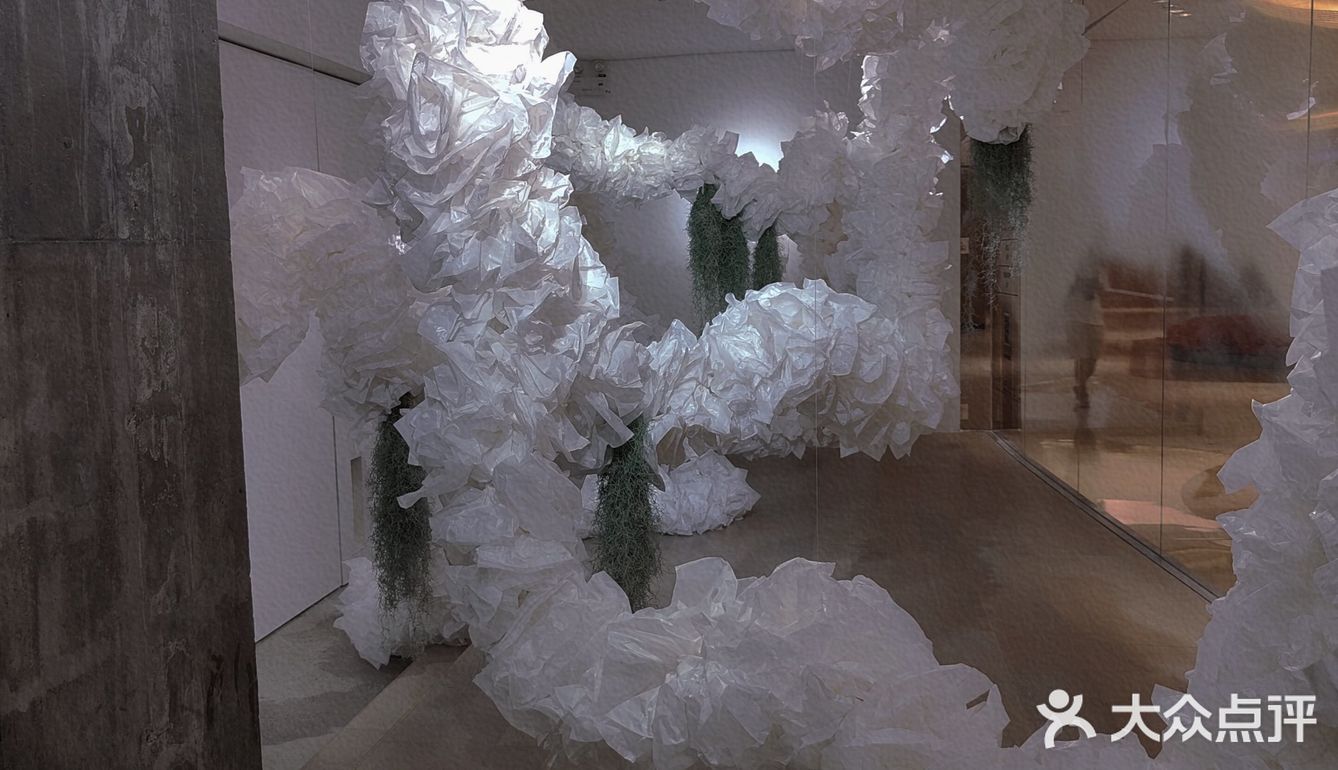 【深圳看展】高级感满满的cbd花展，周末安排，再不去就闭展了