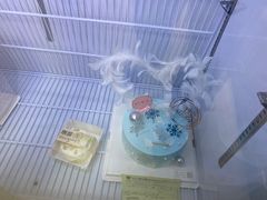 -糕小爱动物奶油生日蛋糕定制(晋江万达店)