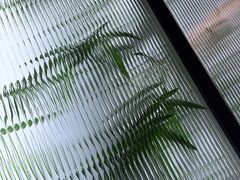 -小菜园新徽菜(无锡宜家荟聚中心店)