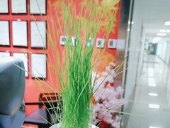 -学习谷日语培训日本留学·多语种外语教学(海淀人大分部)