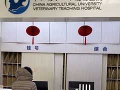 -中国农业大学动物医院