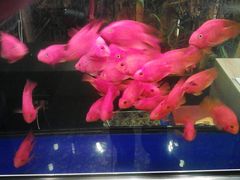 等位区-粗茶淡饭·汉口公馆(循礼门店)