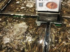-盒马鲜生(顺义店)