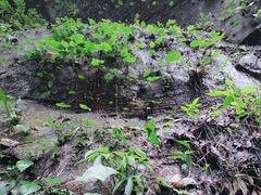 -赤水丹霞旅游区·佛光岩