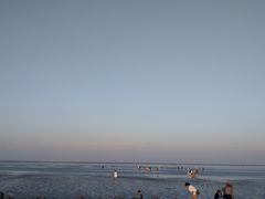 -南汇嘴观海公园