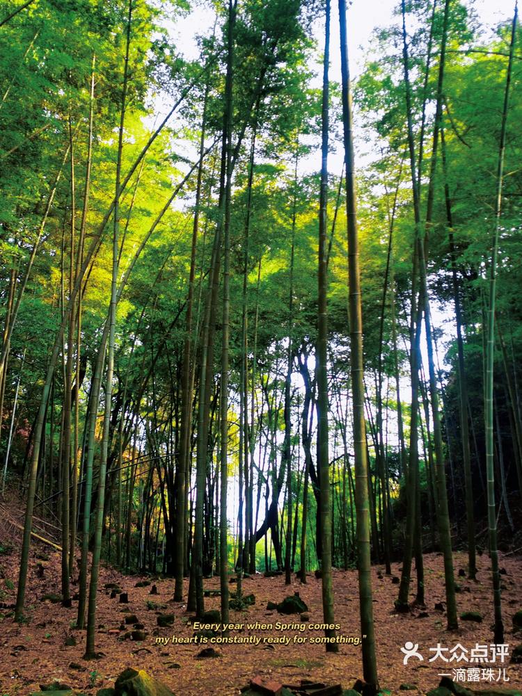 大足玉龙山三清洞图片