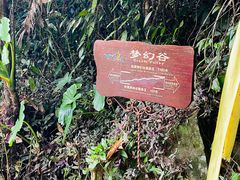 -呀诺达热带雨林