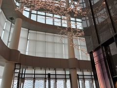 -南宁那莲豪华精选酒店-云霄酒廊·80楼高空城景酒吧