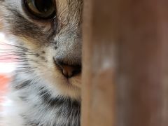 -龟与熊猫宠物公园(南坪店)