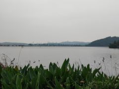 -东湖落雁景区