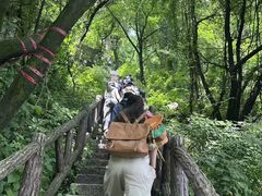 -秦岭终南山世界地质公园翠华山景区