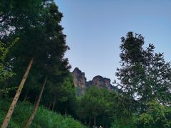 -重庆睡佛山森林公园