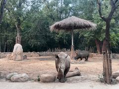 -北京野生动物园