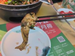-蛙月荷·紫苏牛蛙(三街两巷店)