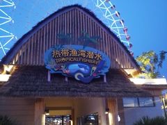 -三亚海昌梦幻海洋不夜城