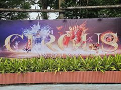 -广州长隆国际大马戏