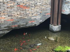 -几荷·恰似故人来(秀水广场店)