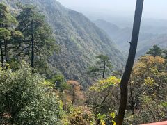 -东天目山风景区