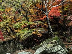 -本溪老边沟风景区