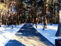 -帽儿山国家森林公园