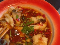 -李子坝梁山鸡(李子坝大鸡哥店)