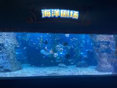 -南昌海洋公园