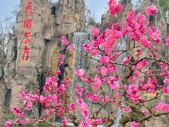 -秀丽东方