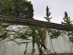 -金庸书院