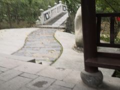 -合肥滨湖国家森林公园