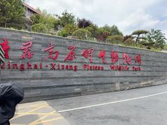 -青藏高原野生动物园