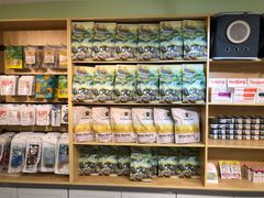-猫十亿·布偶金渐层·曼基康矮脚猫舍(青年路店)