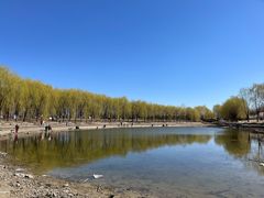 -东坝千亩湖公园