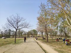 -汉长安城未央宫国家考古遗址公园