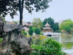 -顺峰山公园