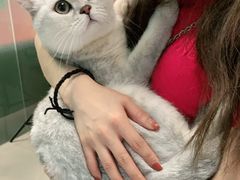 -lincat·猫舍(广州店)