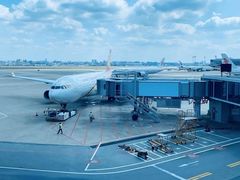 -上海浦东国际机场T1航站楼-P1停车场