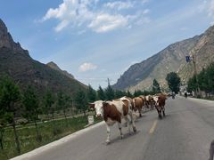 -五台山风景名胜区