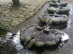 -成都市活水公园