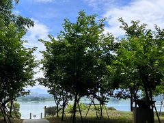 -福建鲤鱼洲酒店