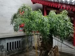-大慈恩寺(大雁塔)