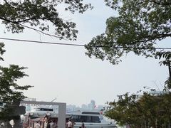 -金鸡湖桃花岛